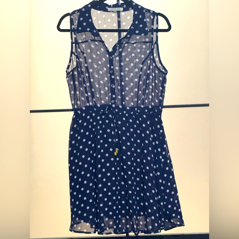 Navy Blue Polka Dot Sheer Dress